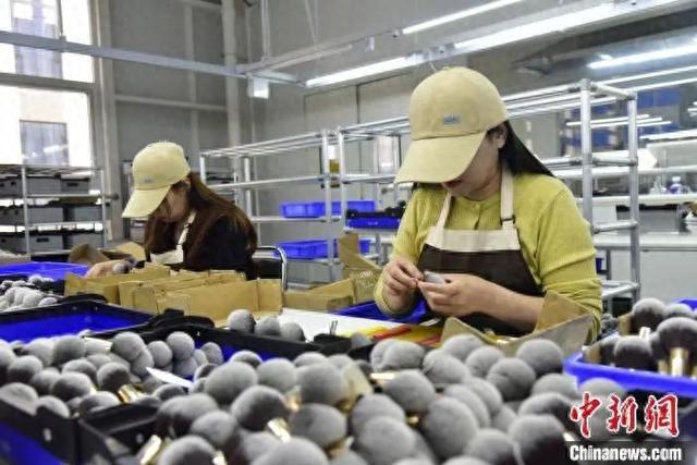 沧州真有“两把刷子”！pg电子模拟器免费试玩(图6)
