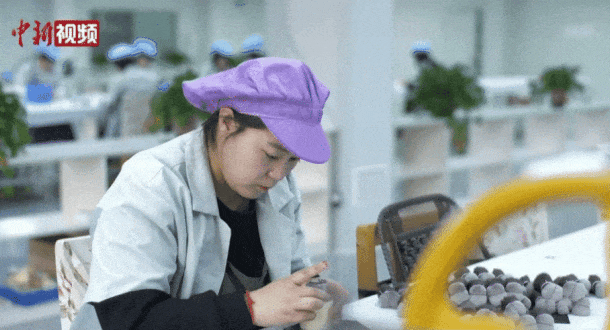 沧州真有“两把刷子”！pg电子模拟器免费试玩(图11)