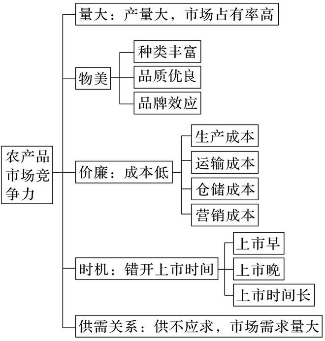 二轮微专题22 市场竞争力pg电子2025高考地理(图10)